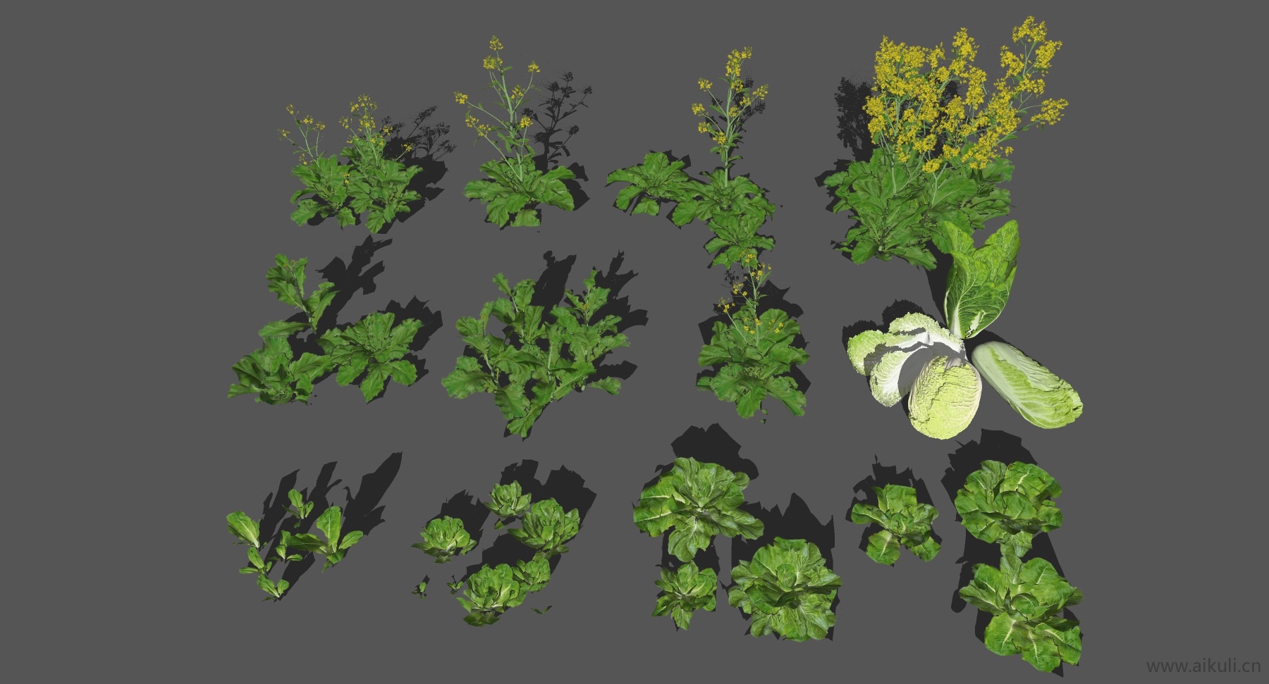 现代农作物种植箱菜箱su模型 (R)