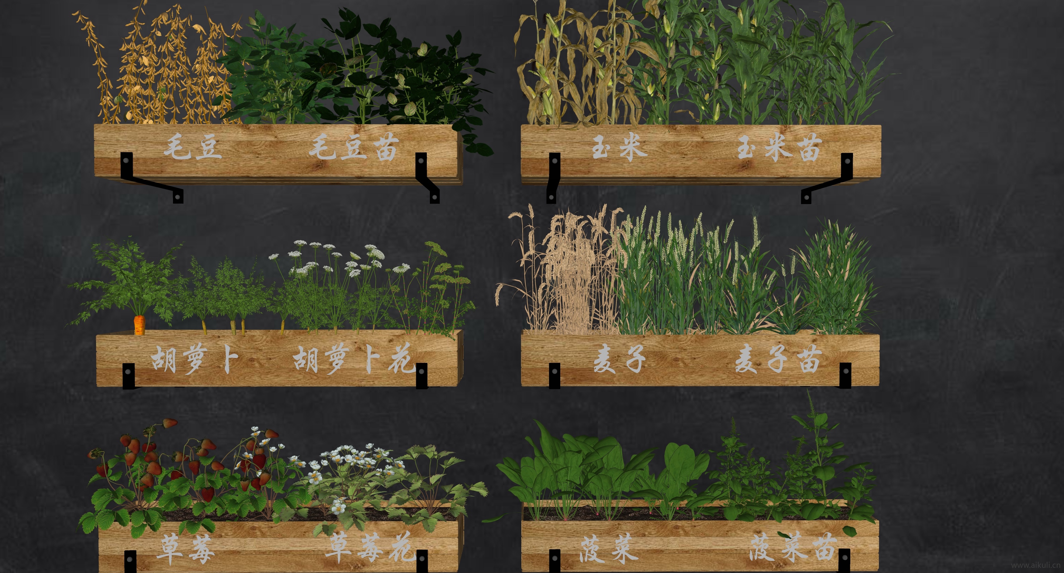 现代农作物种植箱 SU模型
