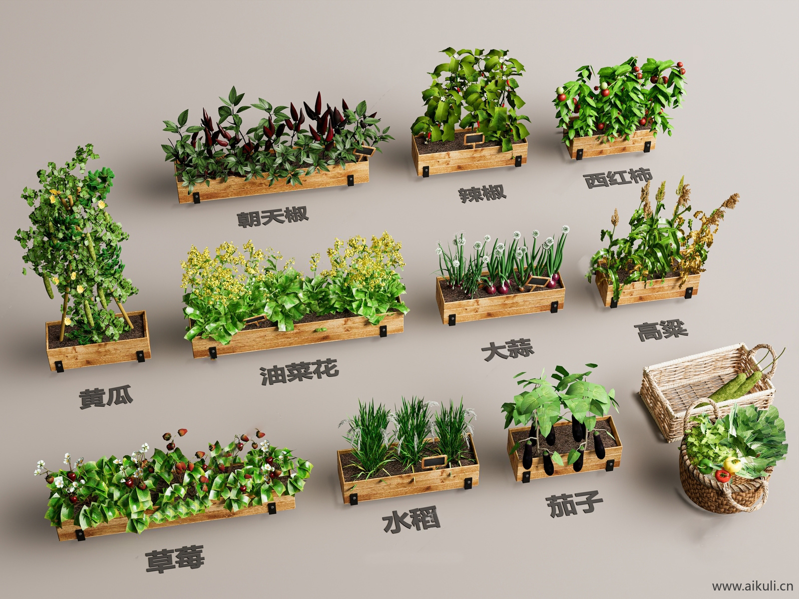 园艺菜园种植箱农场菜地蔬菜农作物 (18)
