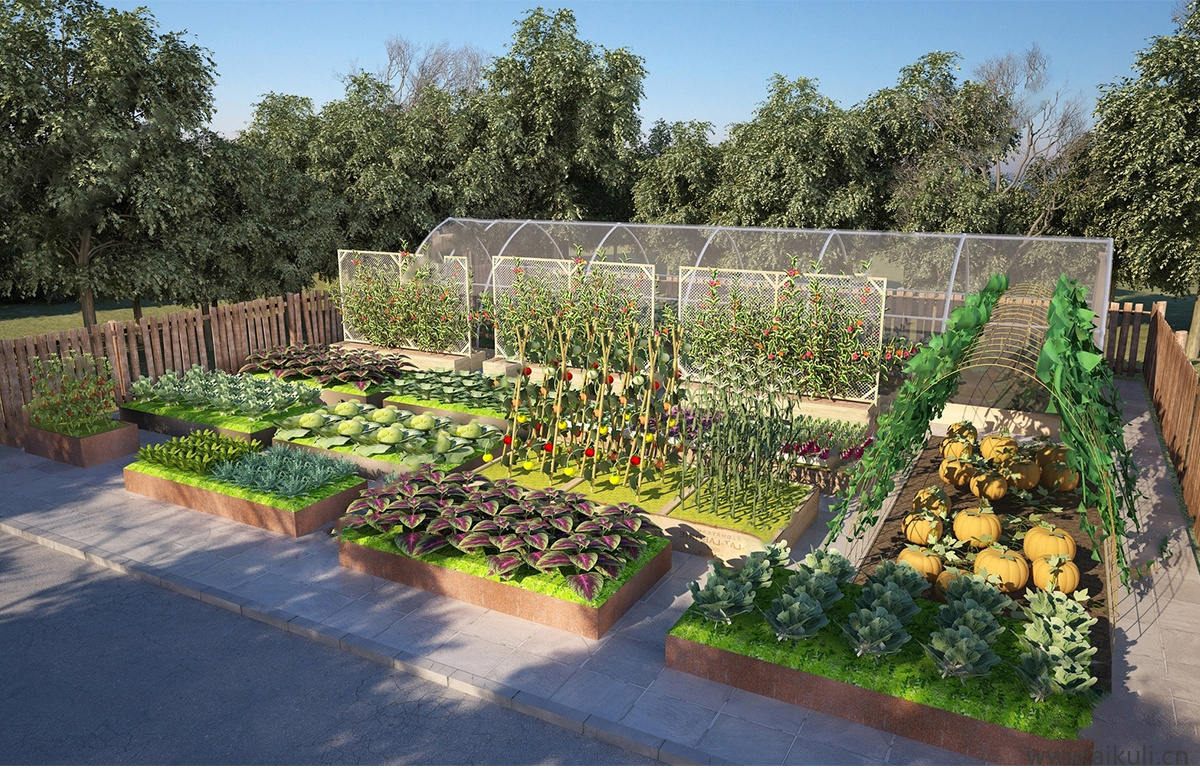 园艺菜园种植箱农场菜地蔬菜农作物 SU模型