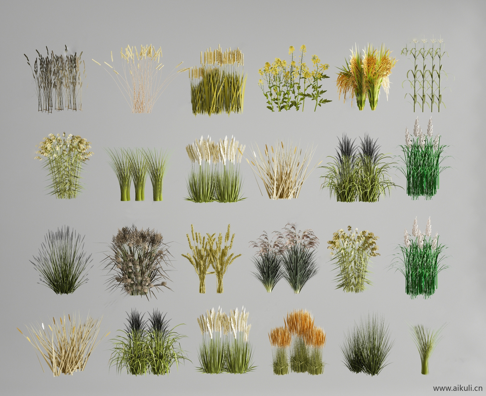 种植农作物稻谷 SU模型
