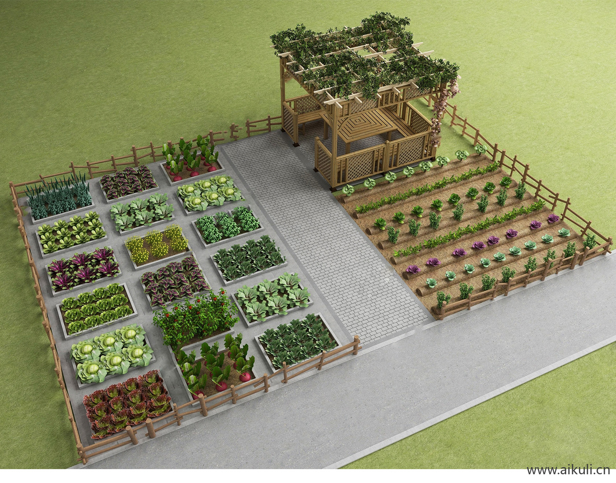 园艺菜园种植箱农场菜地蔬菜农作物 (2)
