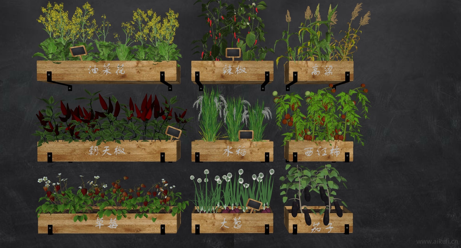 现代农作物种植箱菜箱su模型 (O)