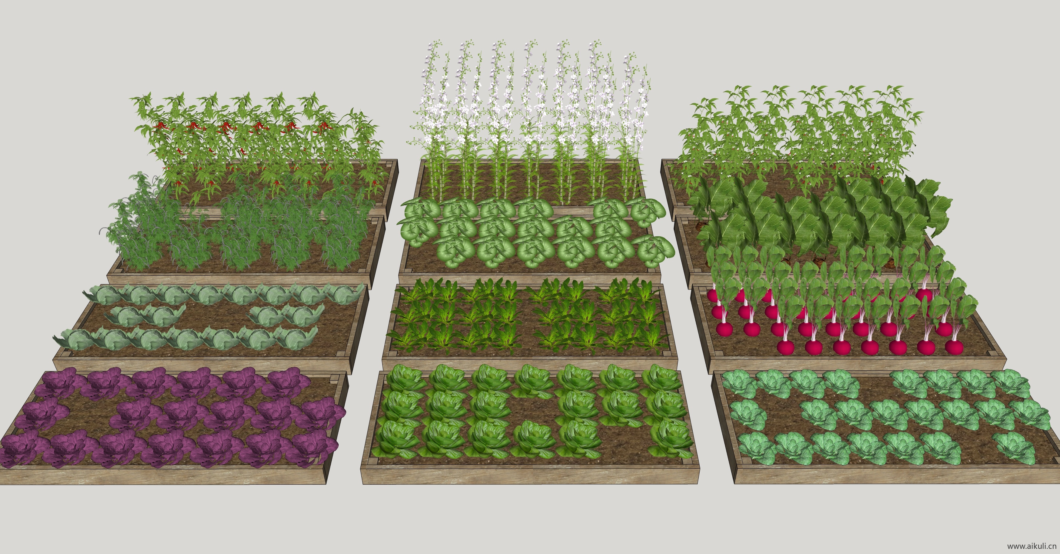 菜园种植箱农场菜地蔬菜