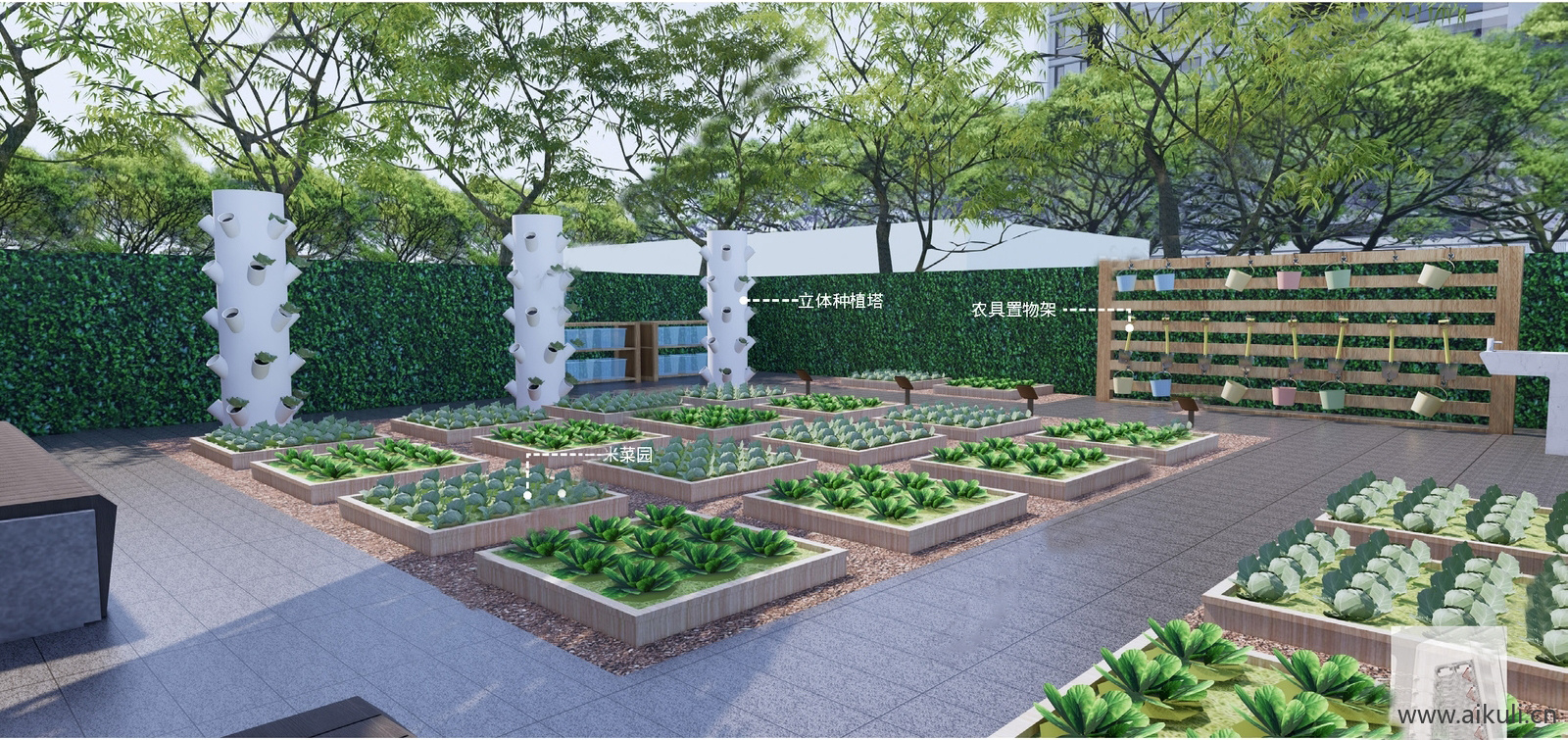 园艺菜园种植箱农场菜地蔬菜农作物 (17)