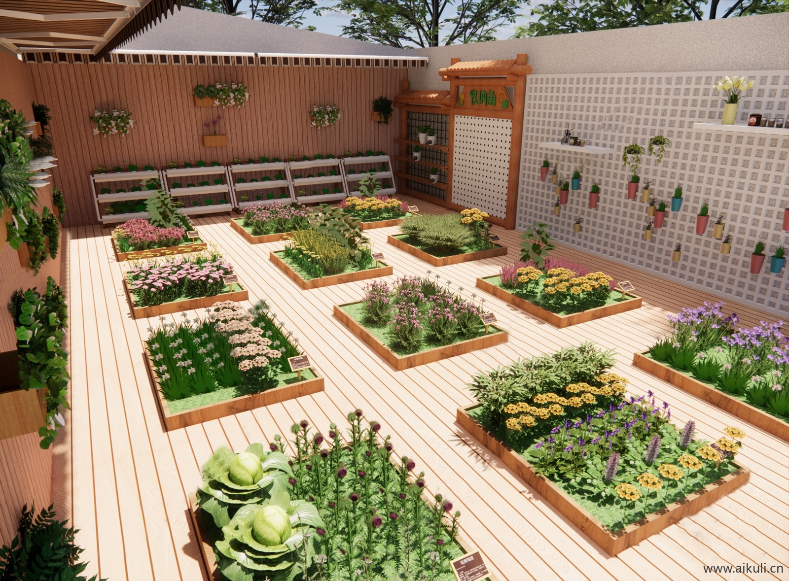 园艺菜园种植箱农场菜地蔬菜农作物 (19)