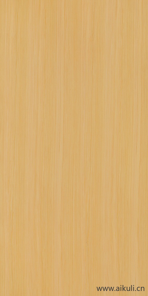 K6218 安丽格