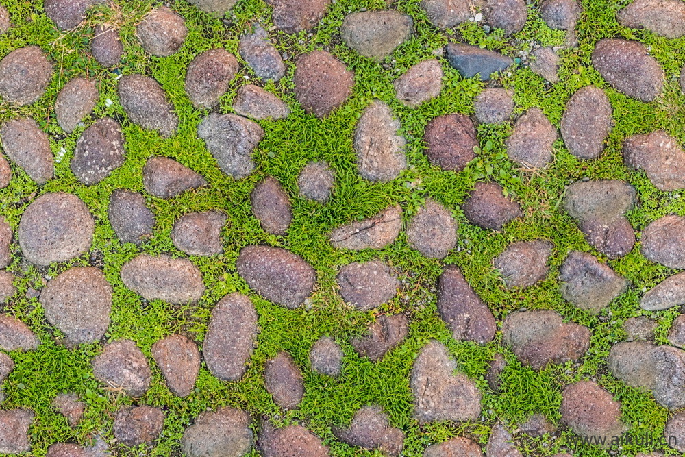 植草砖透水砖草坪砖停车位生态地面铺装贴图BE