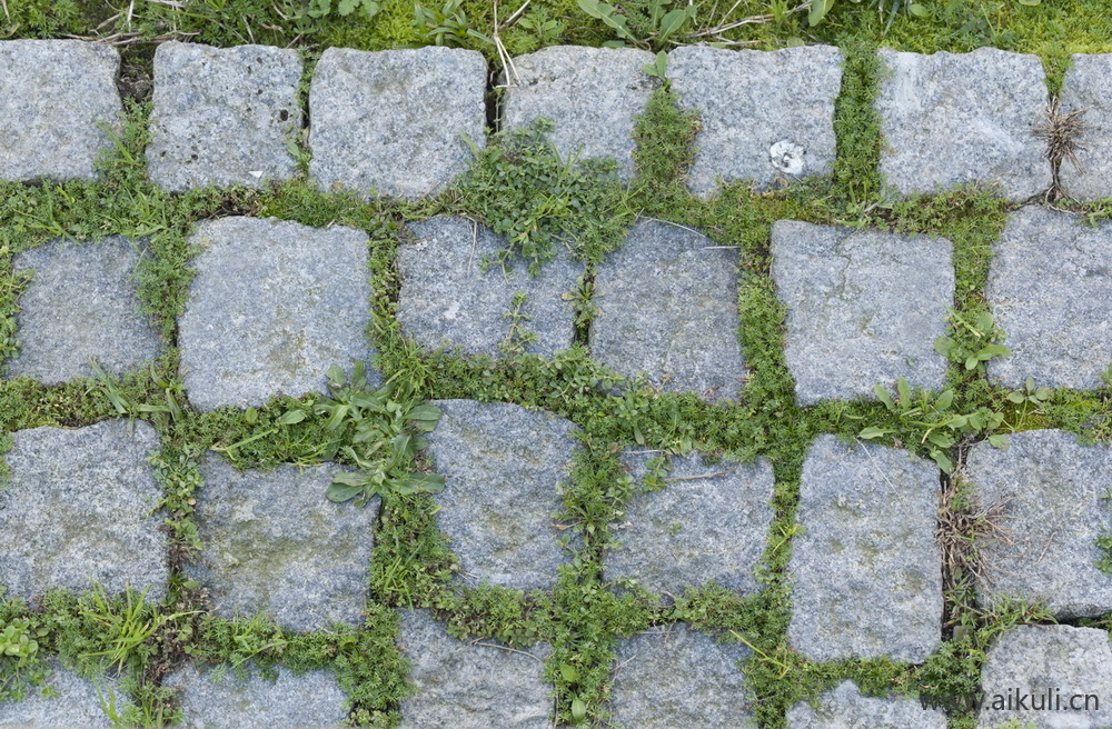 植草砖透水砖草坪砖停车位生态地面铺装贴图BH
