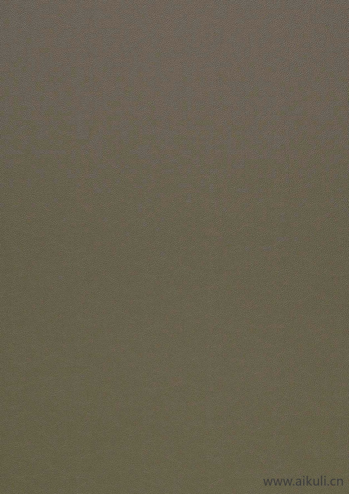 现代皮纹皮革纹理棕色皮质白色浅色花纹贴图_019