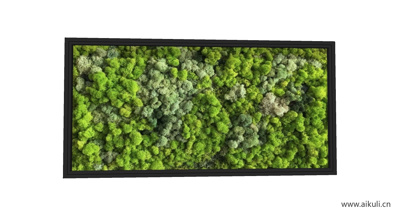 现代绿植墙 绿植盒 生态绿植墙 (1)
