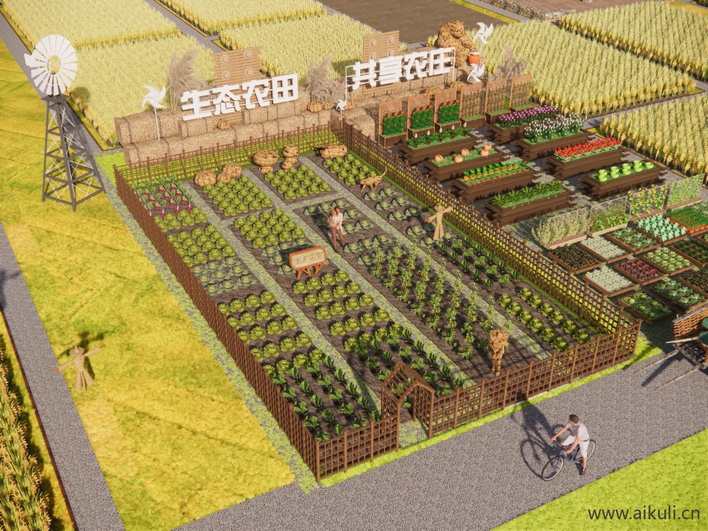 农场 菜地 菜园 蔬菜