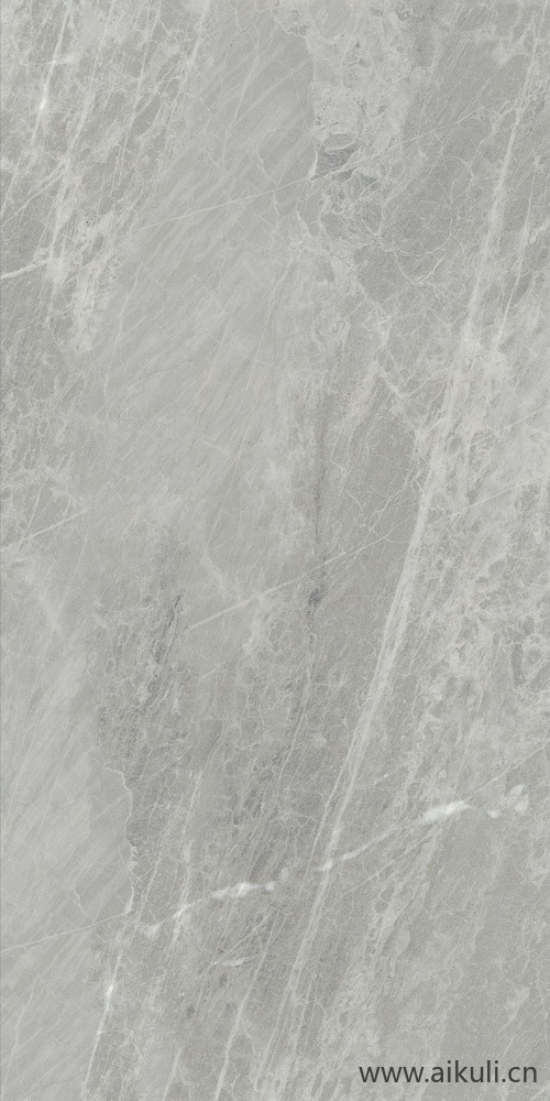 石材岩石贴图Gris De Savoie 比萨灰 150x300 F02