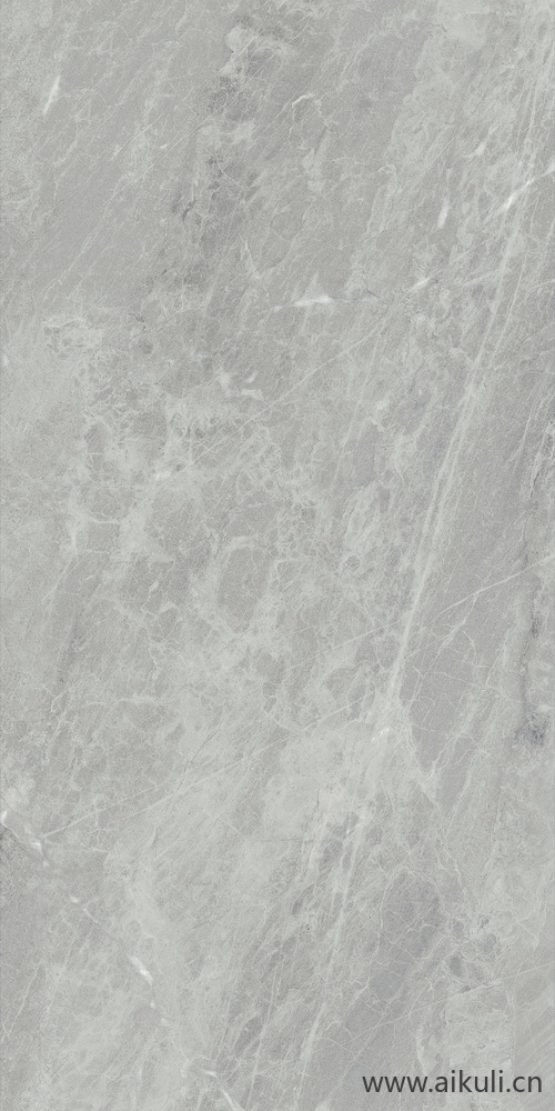 石材岩石贴图Gris De Savoie 比萨灰 150x300 F04