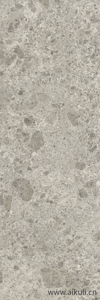 石材岩石贴图Grigio luminoso水磨石灰 300x100 F01