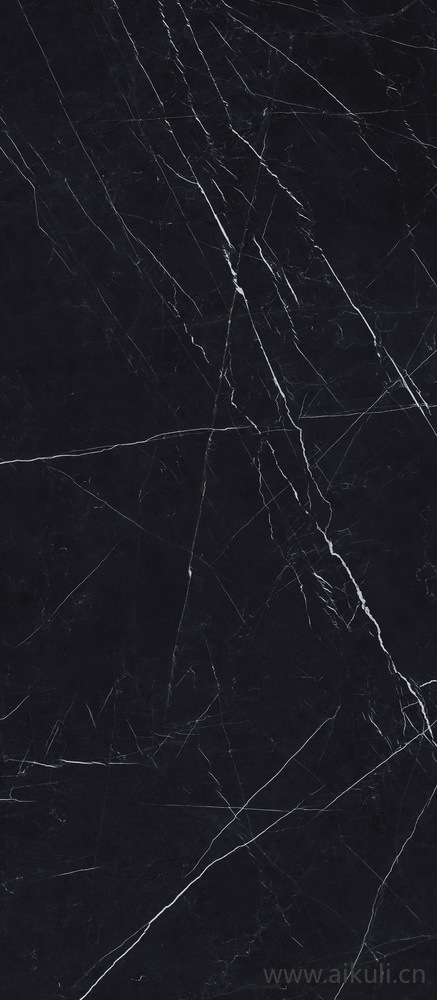 石材岩石贴图Nero Marquinia 帝王黑  270x120 F04