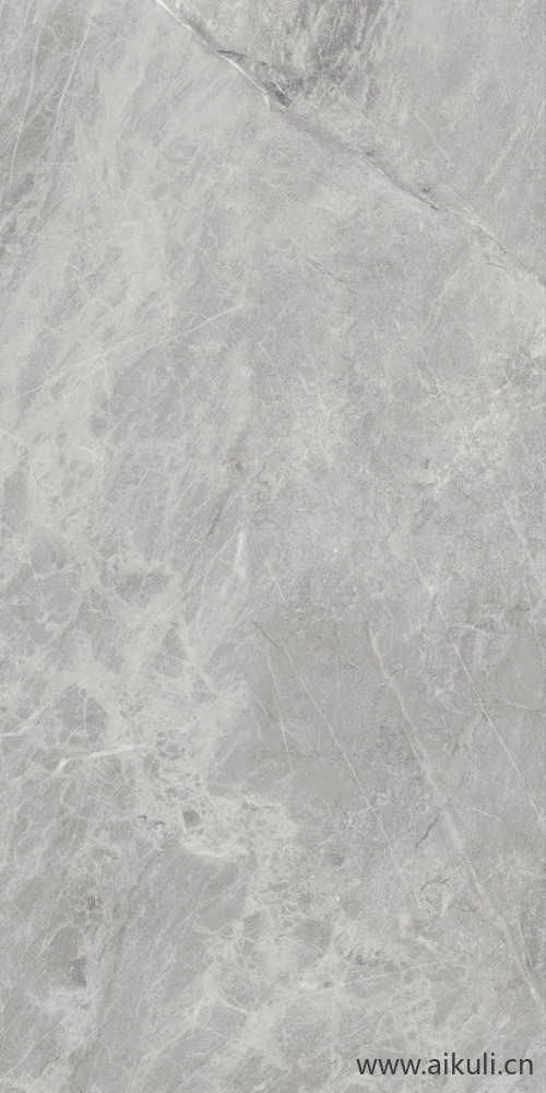 石材岩石贴图Gris De Savoie 比萨灰 150x300 F01
