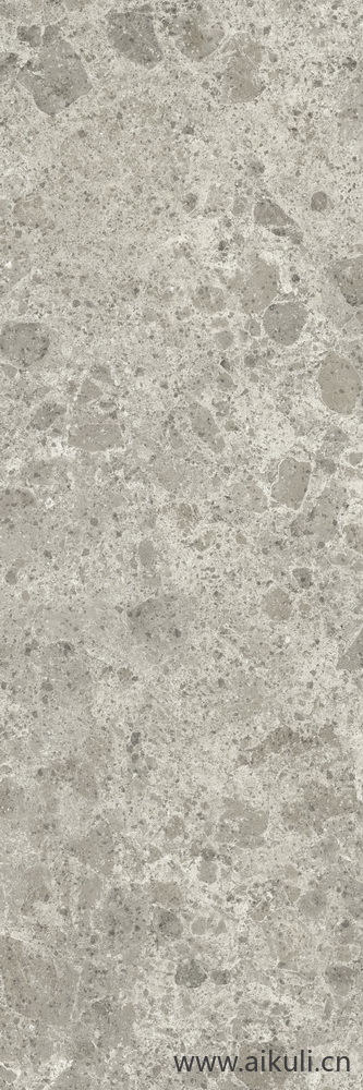 石材岩石贴图Grigio luminoso水磨石灰 300x100 F04