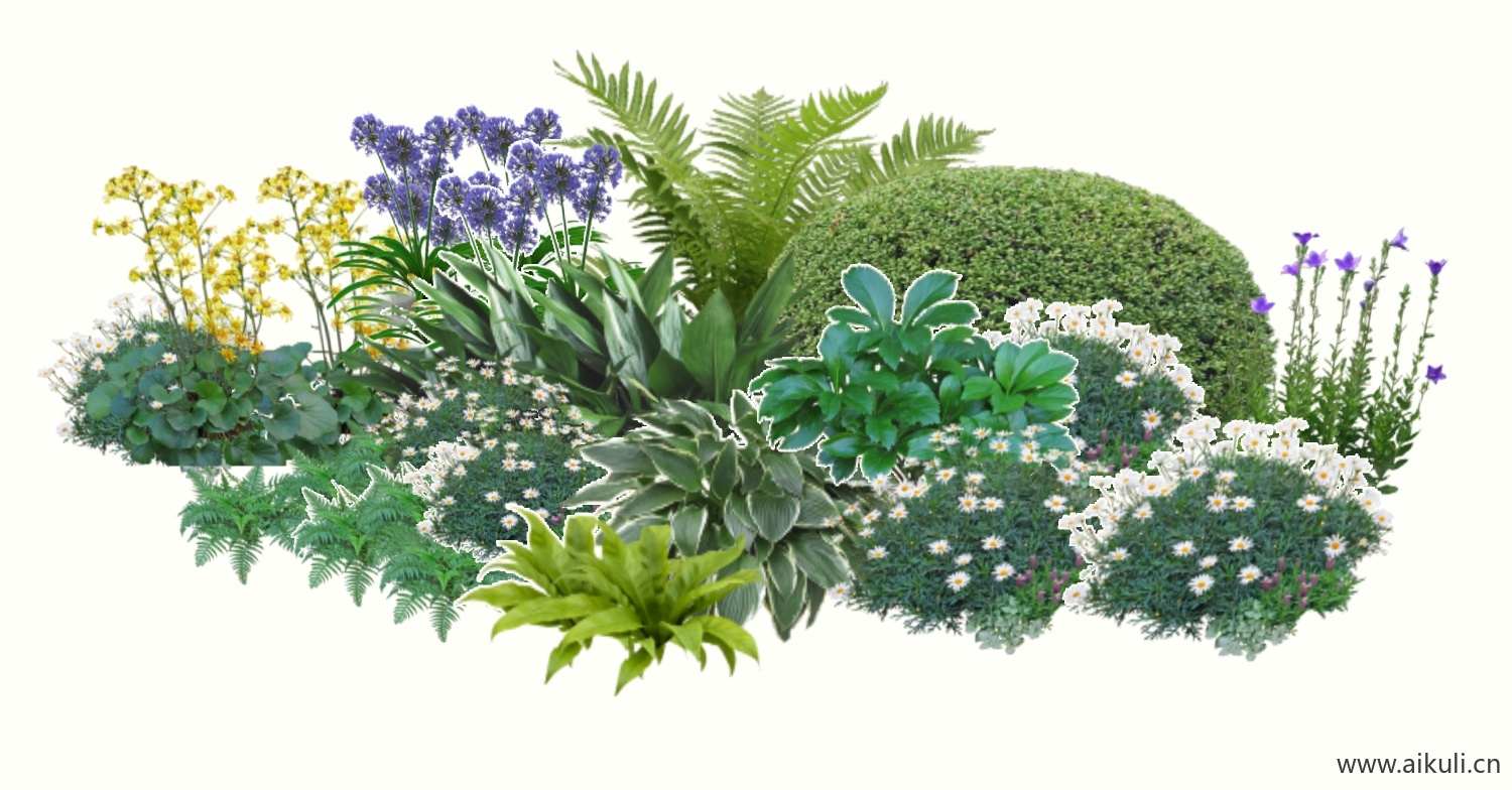 花草植物_花境_植物堆_植物景观SU模型