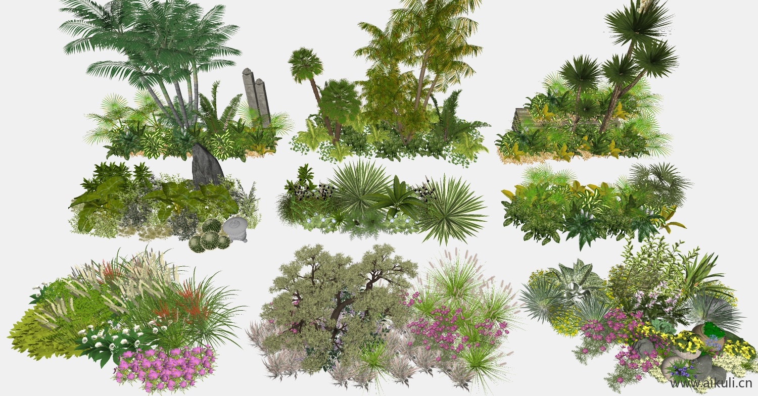 花境_植物组合_节点植物_植物组团_时花SU模型