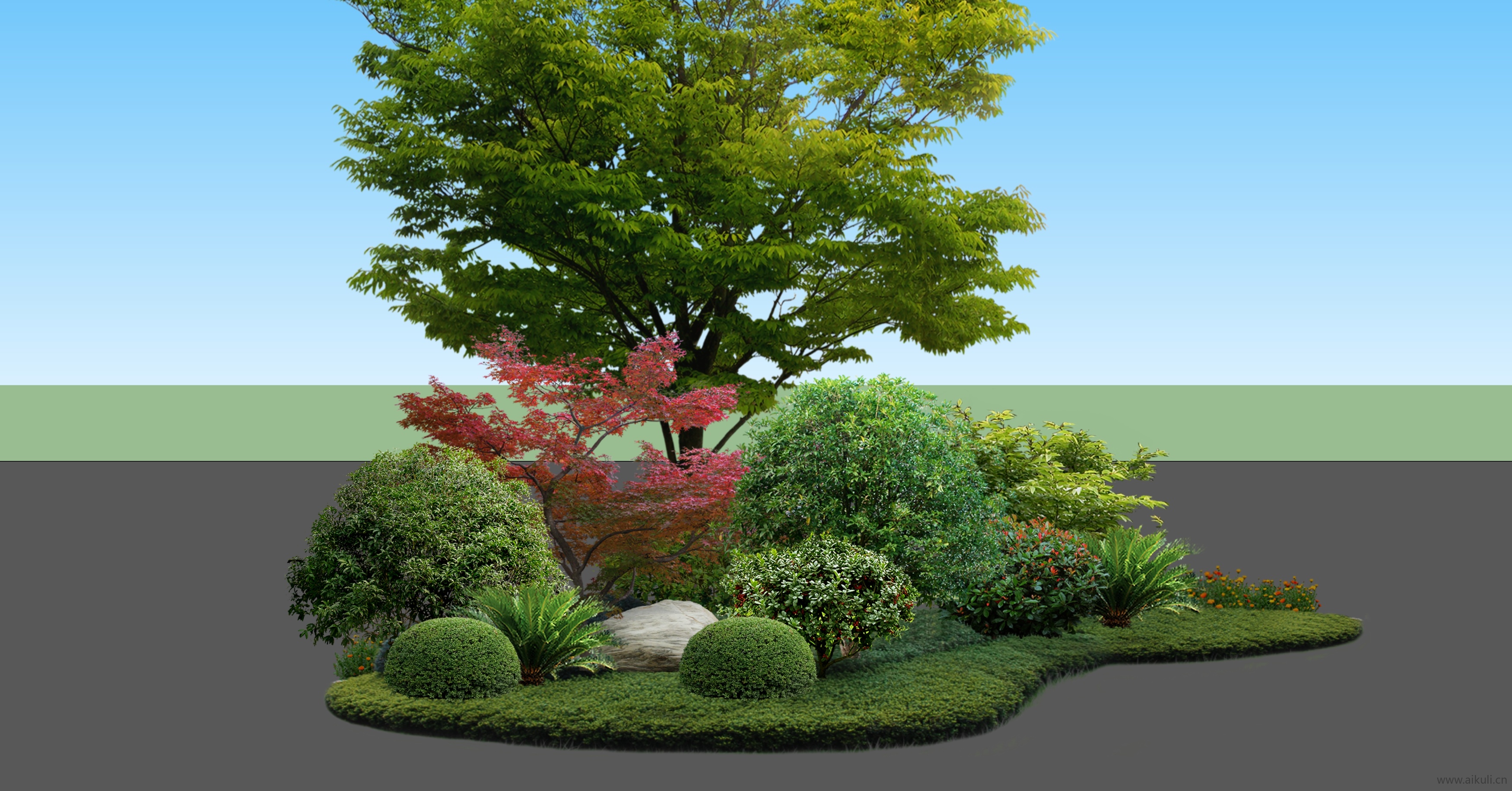 现代景观树2d植物