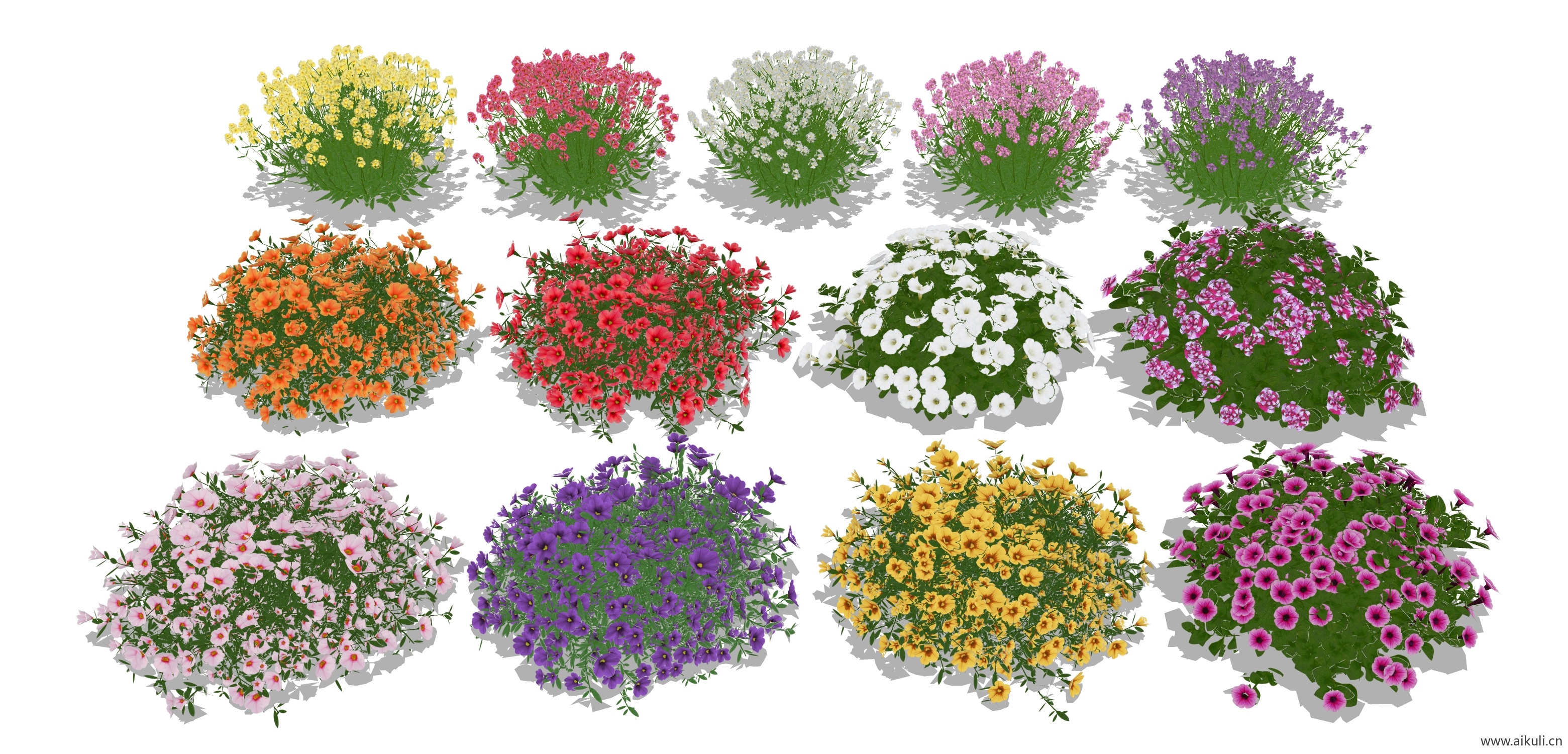 3d花境植物组团景观灌木植物SU模型BD