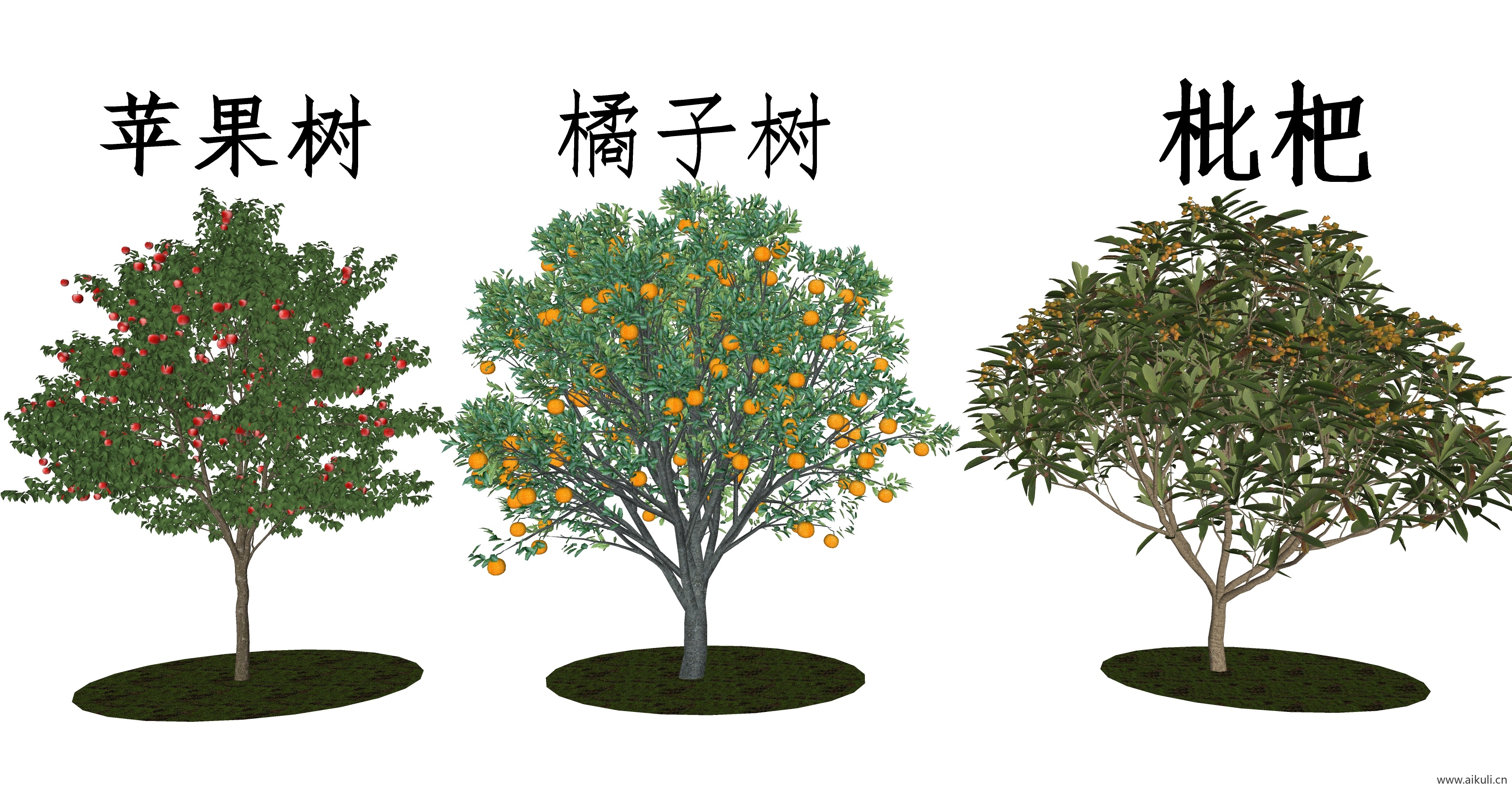 苹果枇杷果树SU模型
