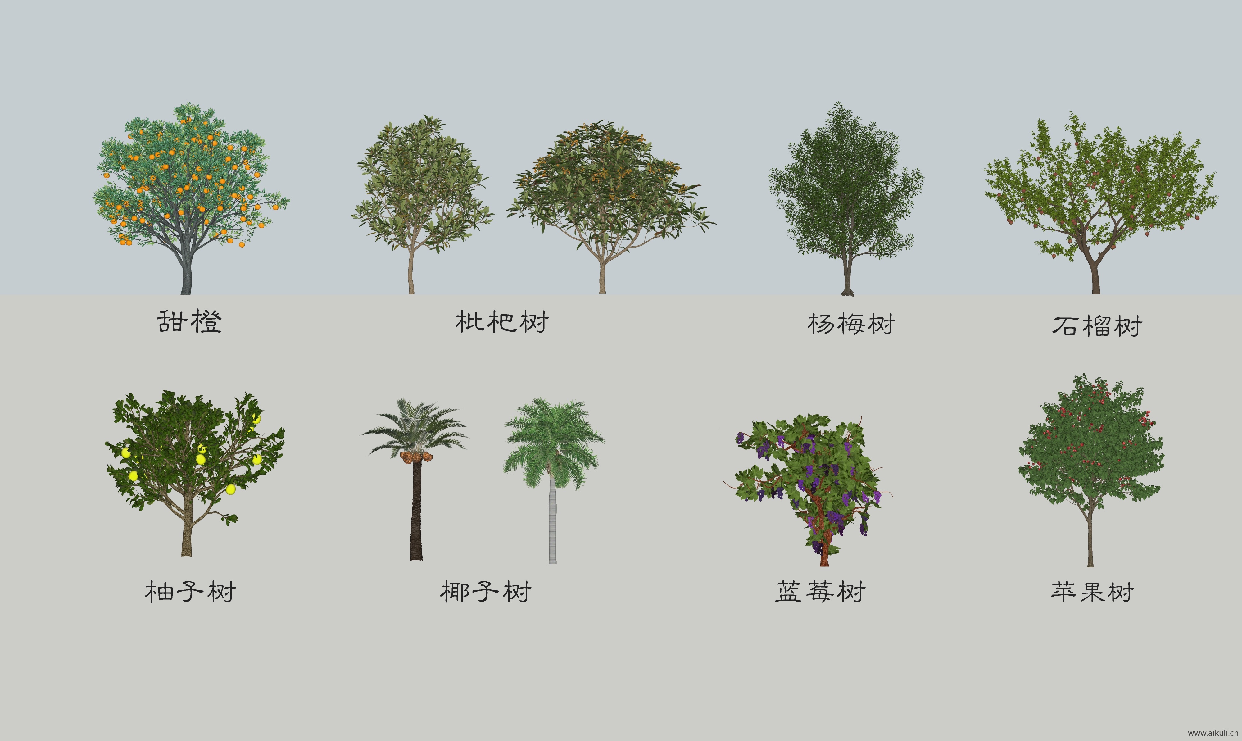9款3D果树8.0