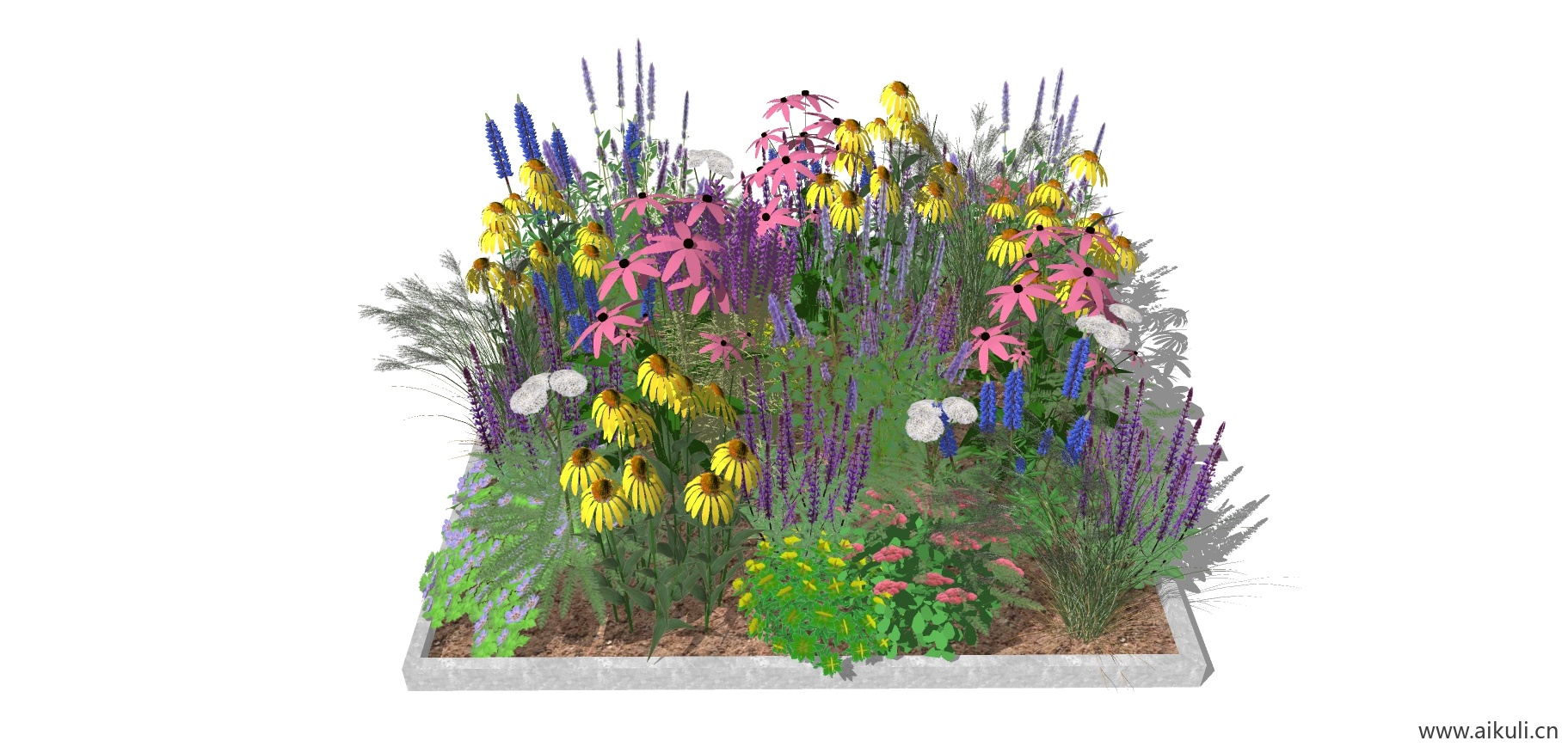 T植物花池树池盆栽灌木4