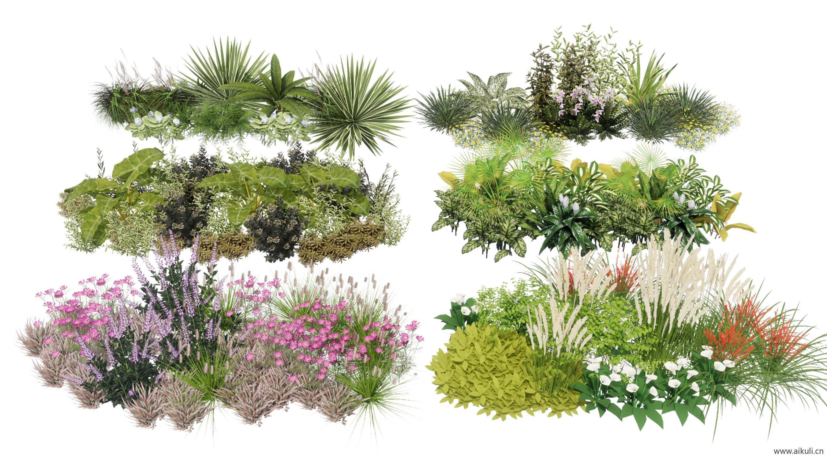 3d花境植物组团景观灌木植物SU模型W