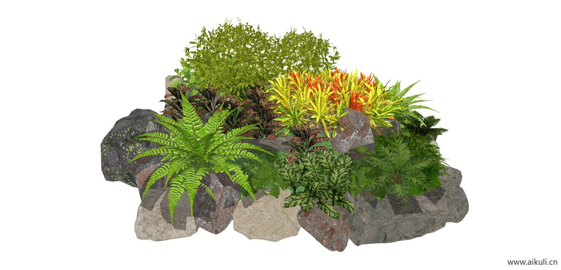 T植物花池树池盆栽灌木3