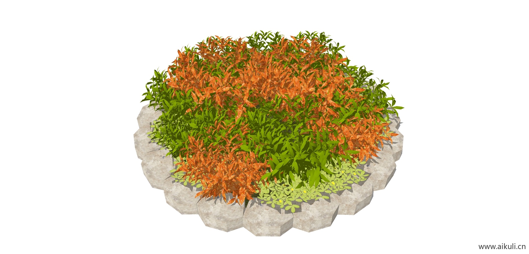 T植物花池树池盆栽灌木9
