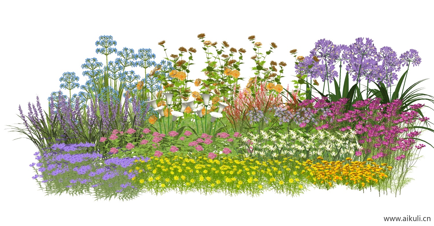 现代花草 花草组合 花卉组团