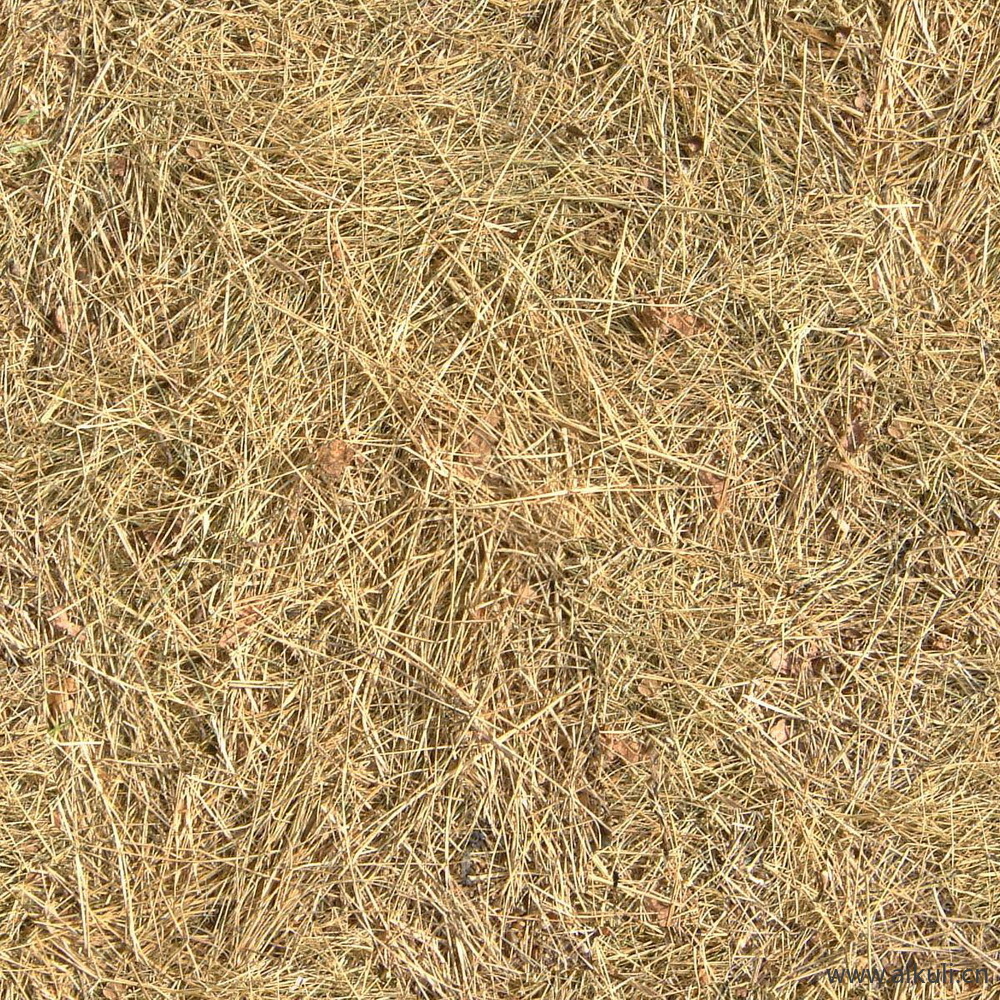茅草屋面 乡村稻草 茅草顶 屋顶贴图Z