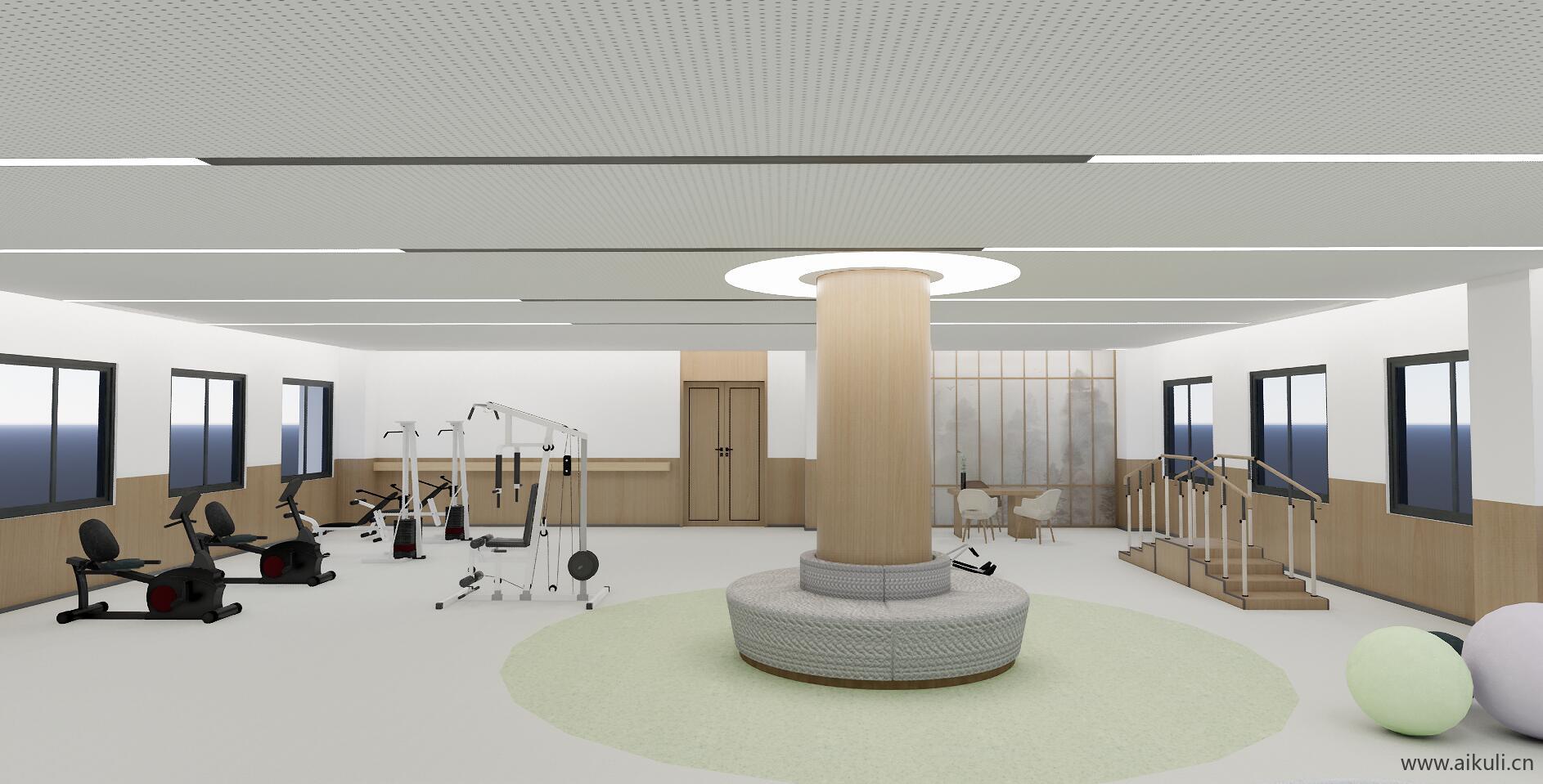 景观医院康复训练室健康评估室康养中心体检室器械SU模型P