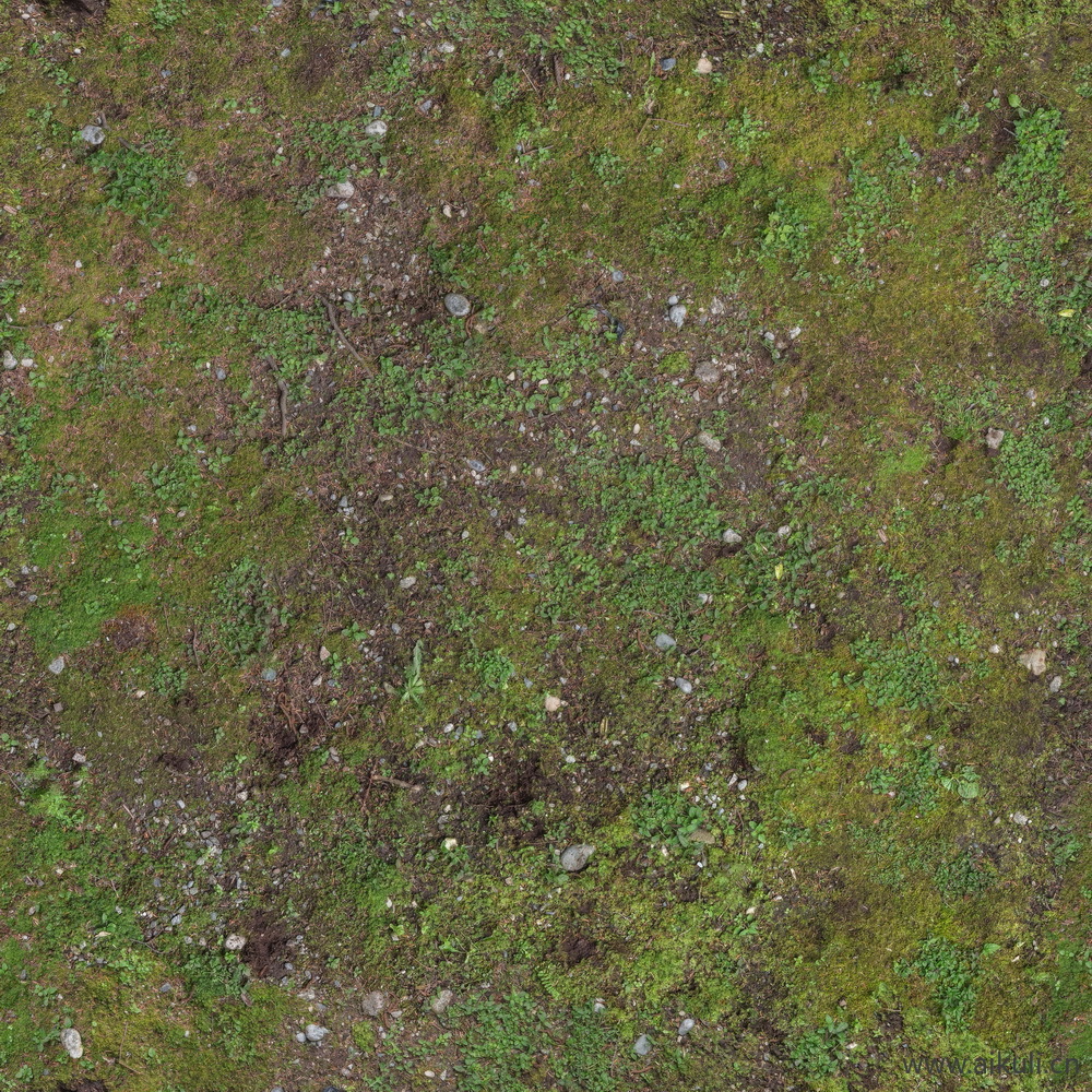 土地土壤泥土 种植田埂贴图_02