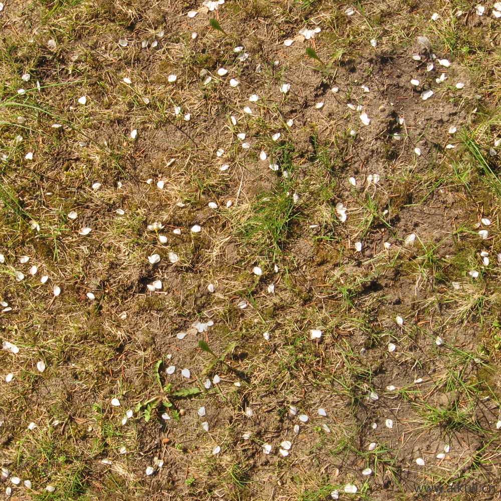 土地土壤泥土 种植田埂贴图_03