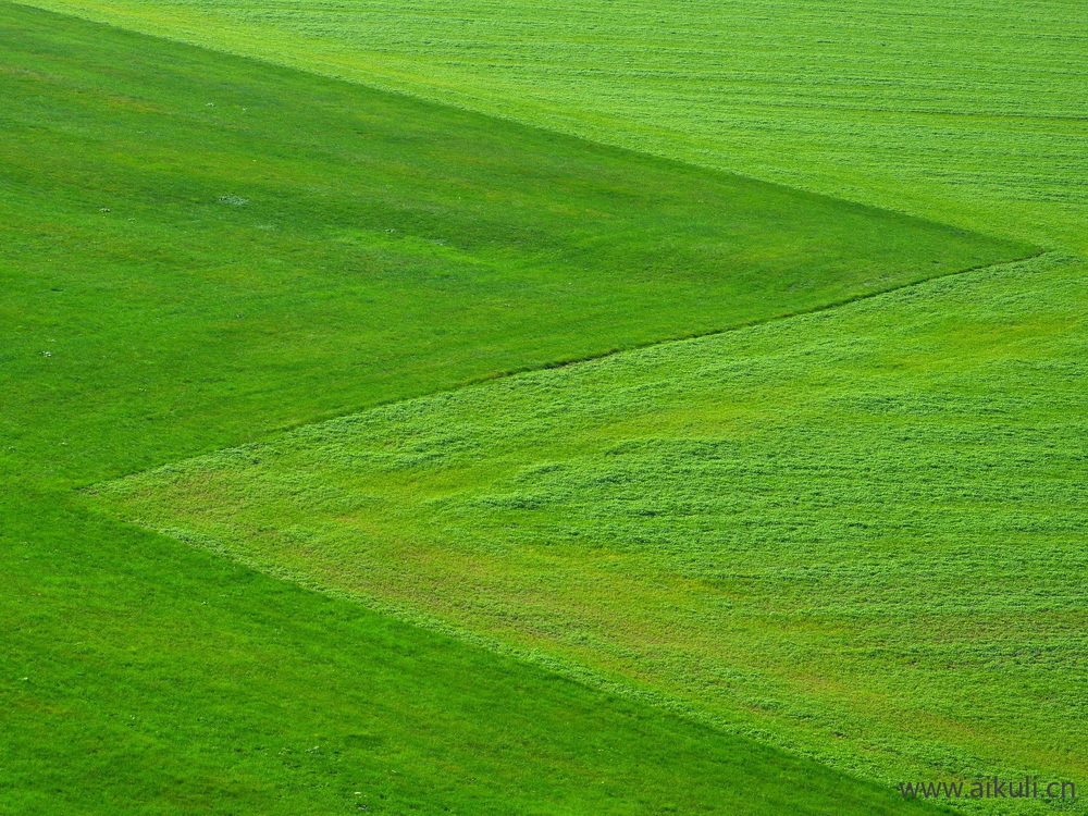 草坪草地贴图DA