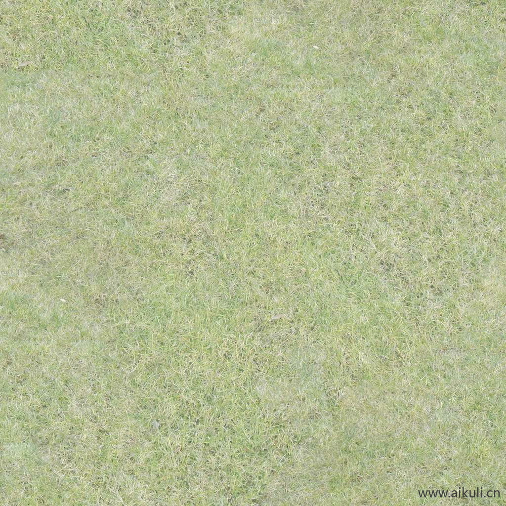 草坪草地贴图BP