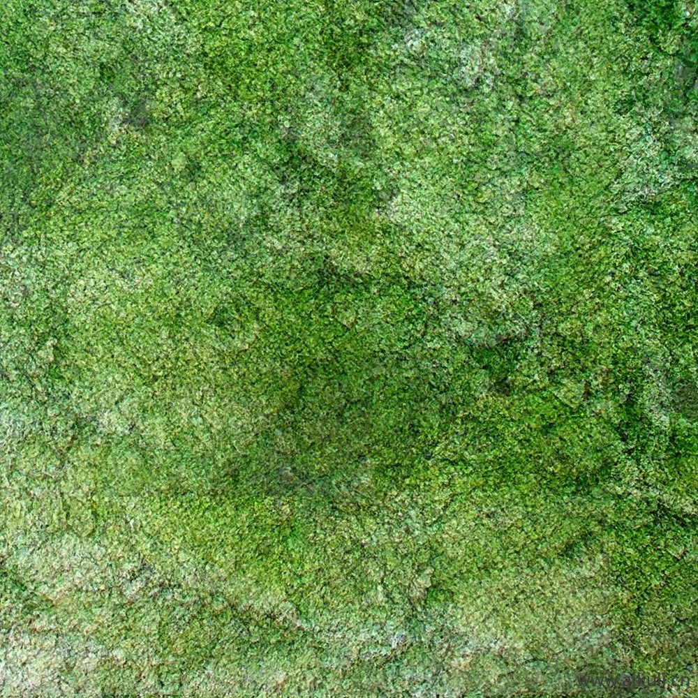 草地竞赛风绿地草坪BQ