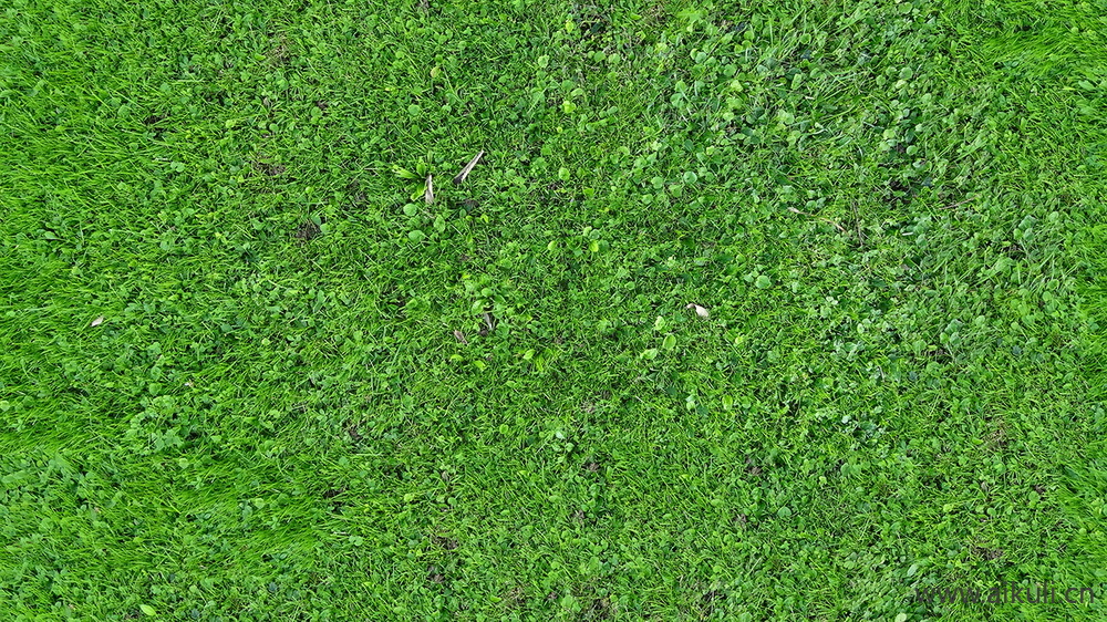 户外草地贴图BO