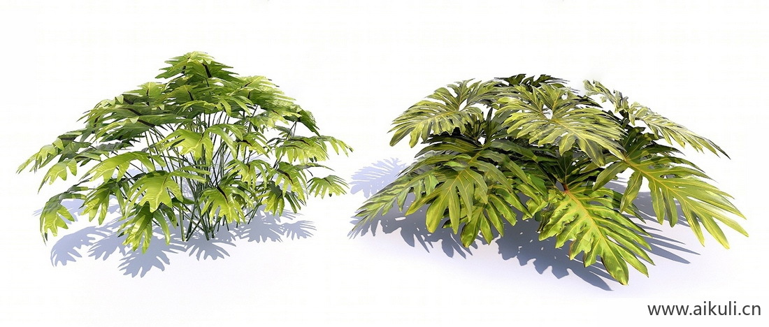 花草灌木SU模型