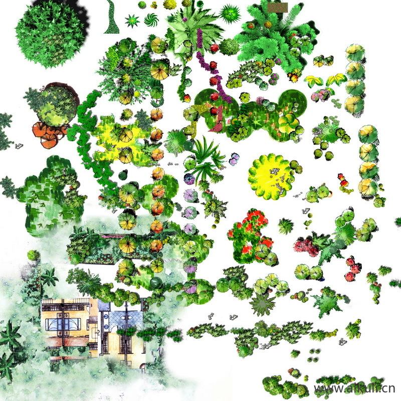 手绘平面景观筑景植物B-PSD免扣