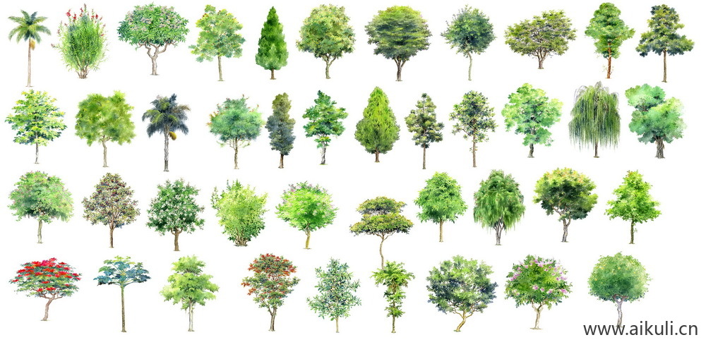 手绘立面景观筑景植物U-PSD免扣