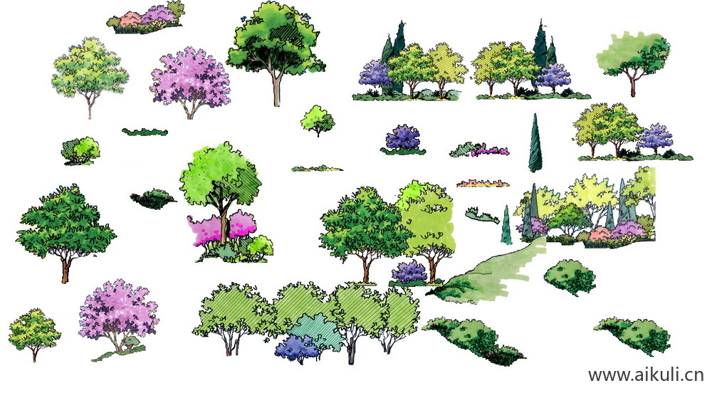 手绘立面景观筑景植物C-PSD免扣
