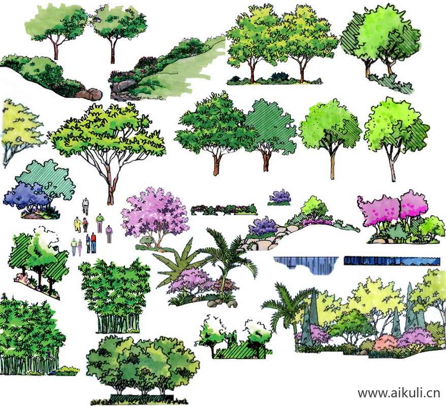 手绘立面景观筑景植物Q-PSD免扣