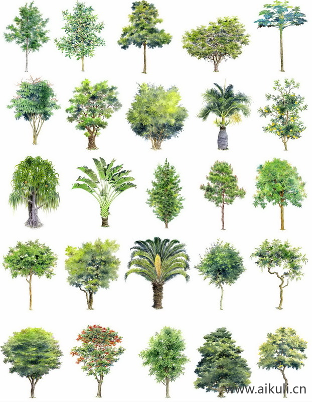 手绘立面景观筑景植物G-PSD免扣