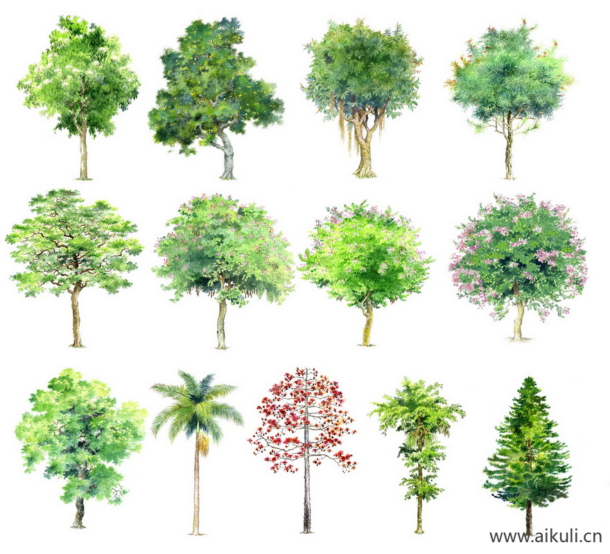 手绘立面景观筑景植物A-PSD免扣