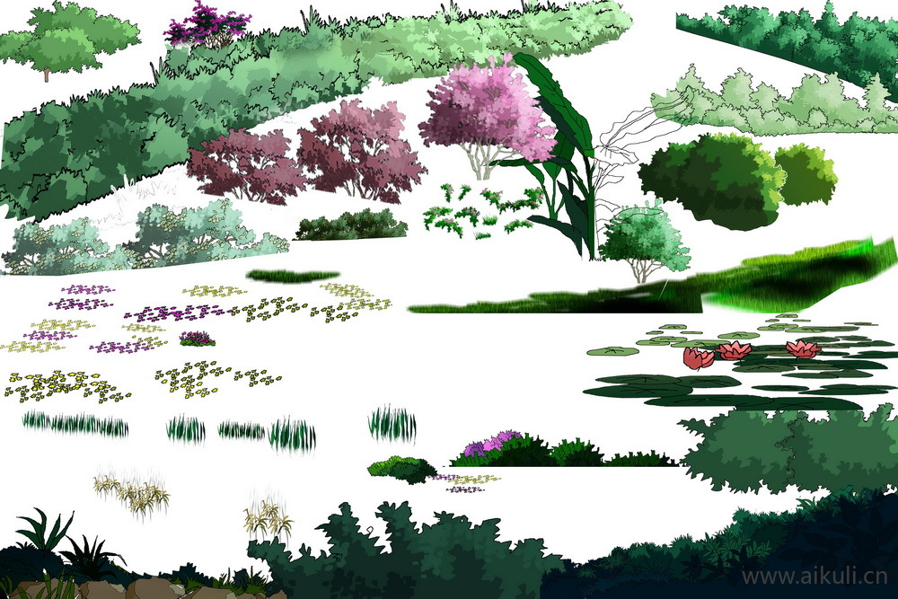 手绘立面景观筑景植物T-PSD免扣
