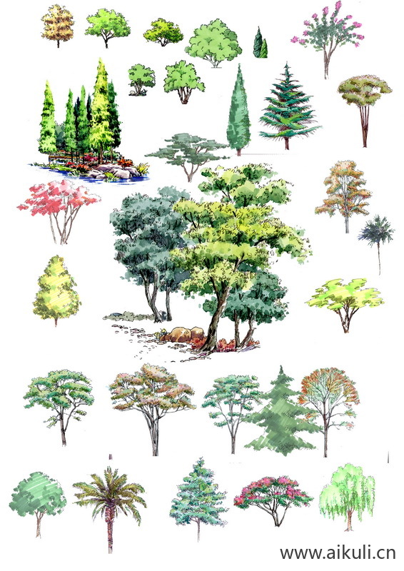 手绘立面景观筑景植物X-PSD免扣